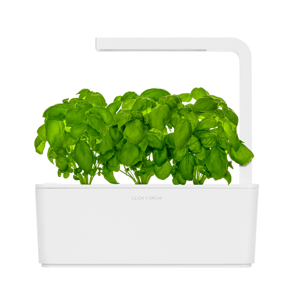Click and Grow Smart Herb Garden базилик. Умный сад